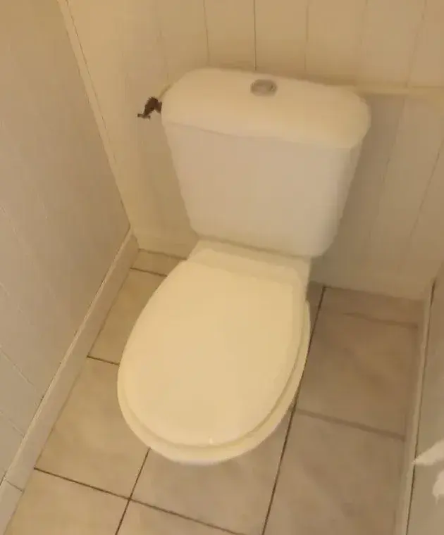 Après : WC